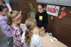 IMG-20241010-WA0010
