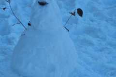 IMG-20231204-WA0037